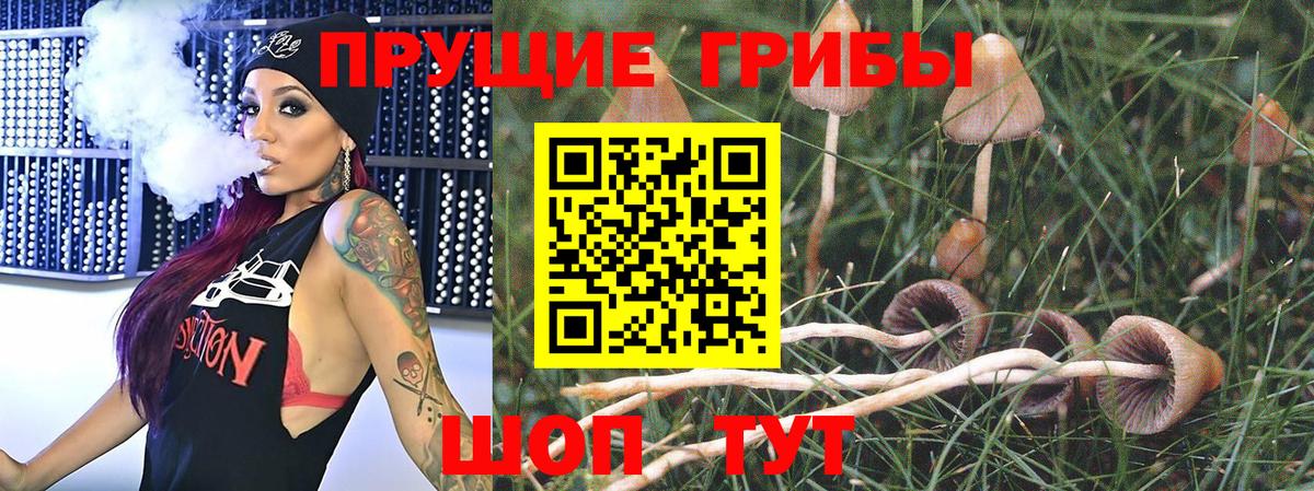 Псилоцибиновые грибы прущие грибы  Псилоцибиновые грибы Cubensis  Вход с VPN  Белореченск 