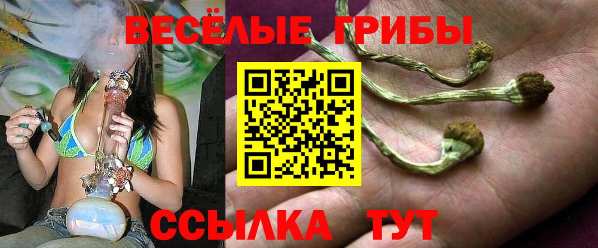Псилоцибиновые грибы GOLDEN TEACHER Белореченск